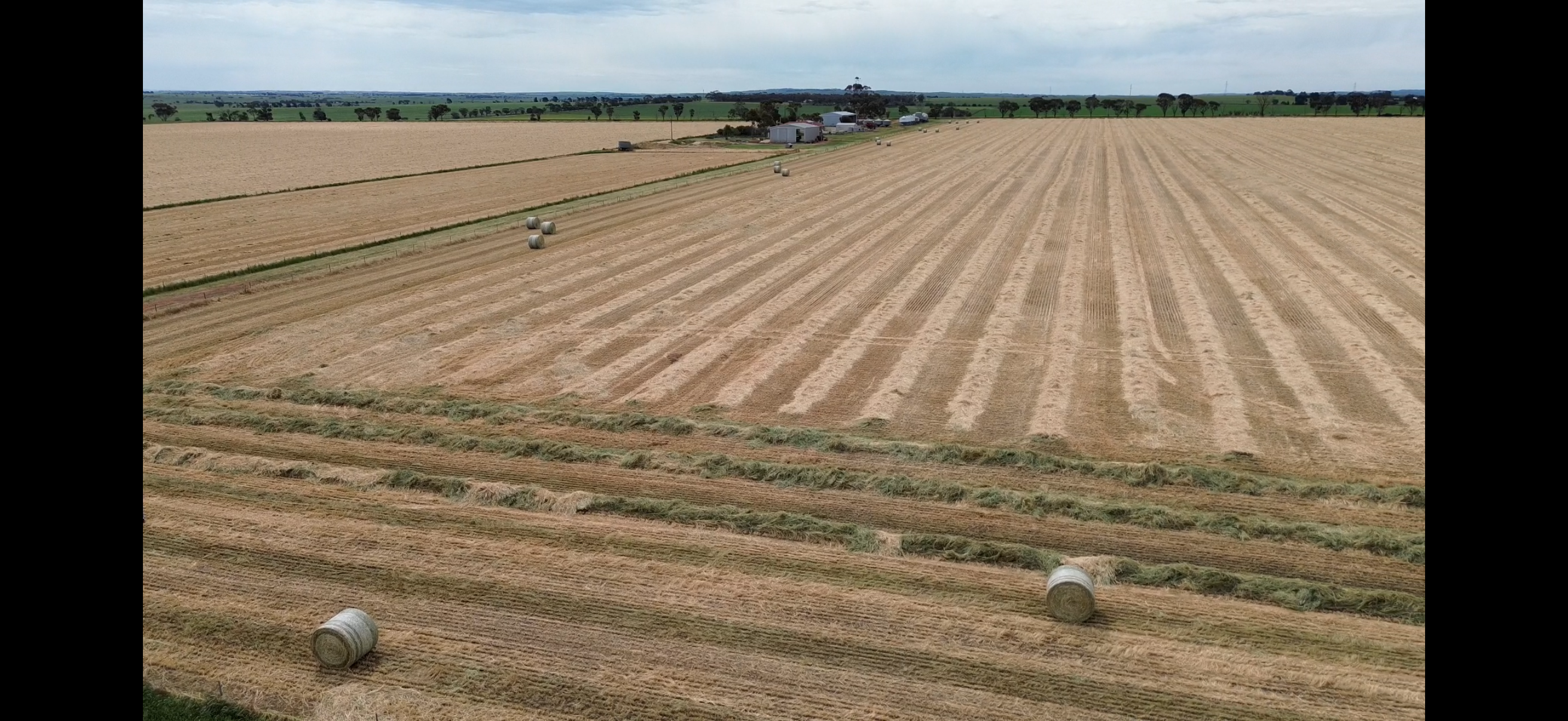 hay 2026 pt 3